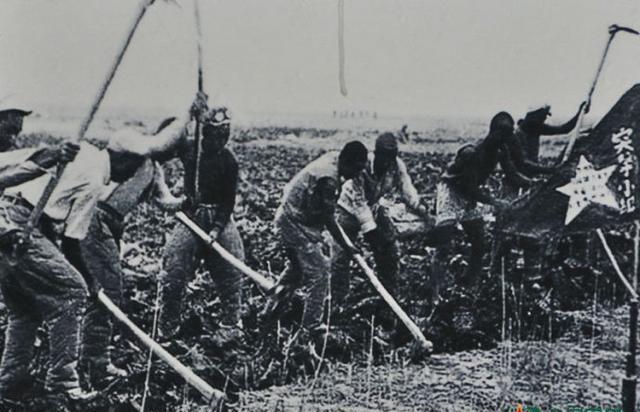 新疆民歌久唱不衰走向世界！歌声飘过70年，这些新疆歌曲你可曾记得？-奇点